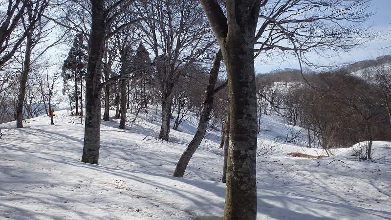 c0097754_12064309.jpg