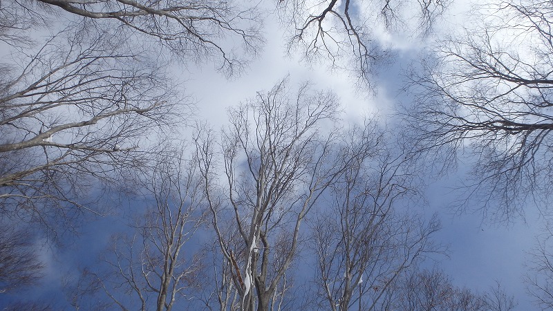 c0097754_20322910.jpg