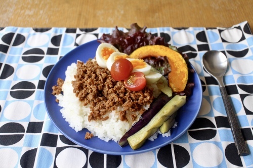 ひき肉と半熟卵と夏野菜ののっけごはん_f0220354_21170469.jpeg