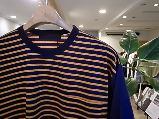 d0269455_15192097.jpeg
