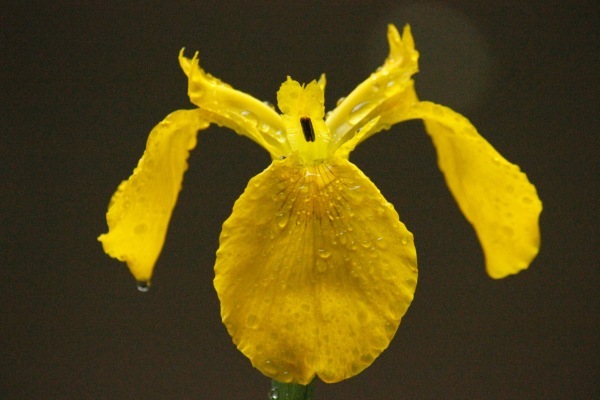 a0248459_14220788.jpg