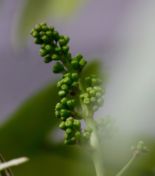a0248459_14224387.jpg