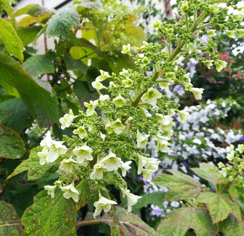 a0248459_14274830.jpg