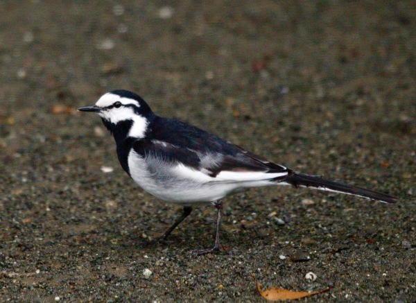 a0248459_14283814.jpg