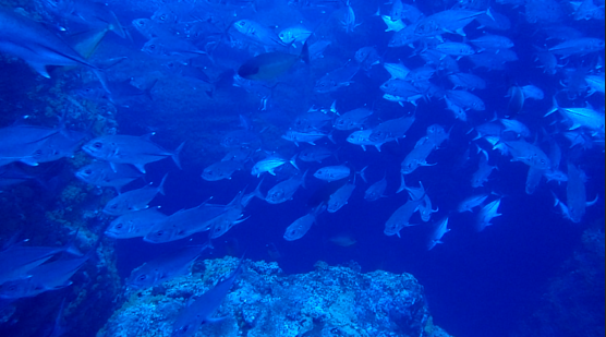 d0113459_18531168.png