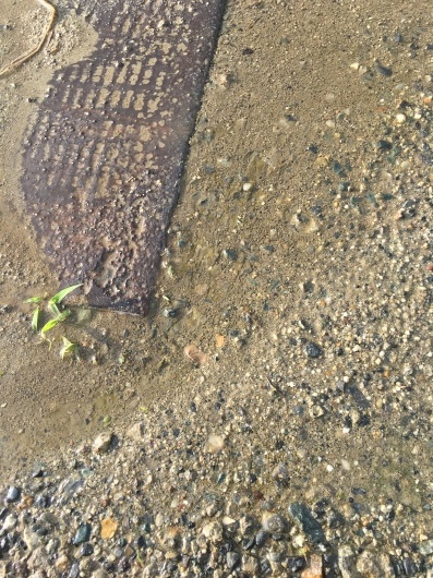 c0226861_23272146.jpeg