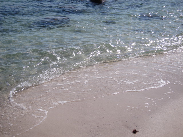 f0164662_15400279.jpg