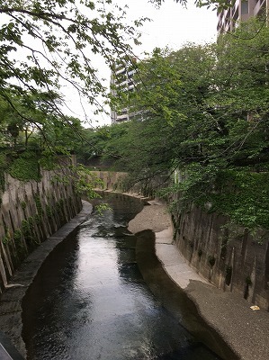 b0145863_23495900.jpg