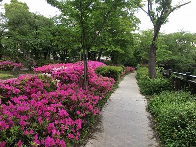 b0145863_23500965.jpg
