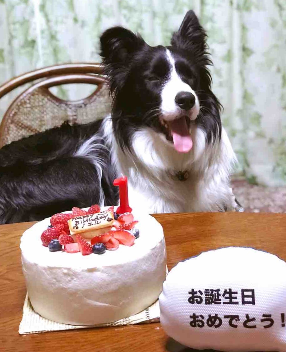 c0120363_21470507.jpeg