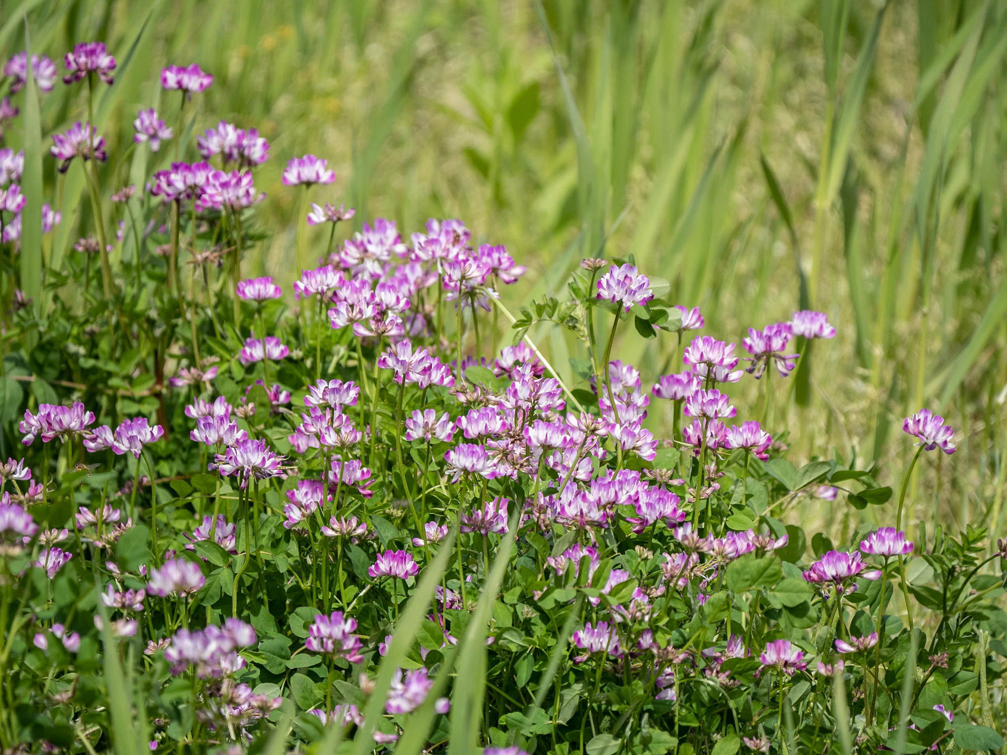 e0015567_17250904.jpg