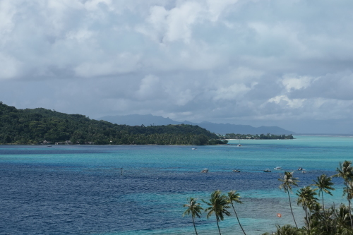 d0193569_08071852.jpg