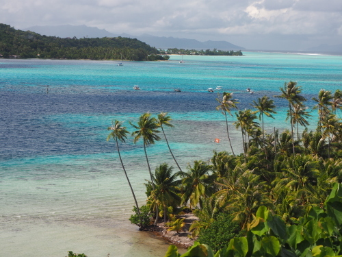 d0193569_08074944.jpg