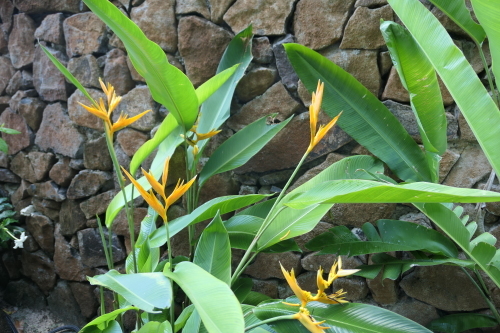 d0193569_08465740.jpg