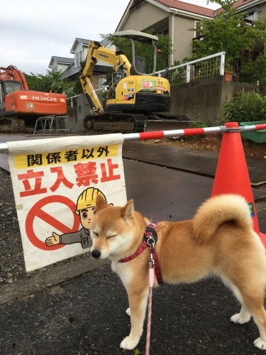 e0305074_22091549.jpeg