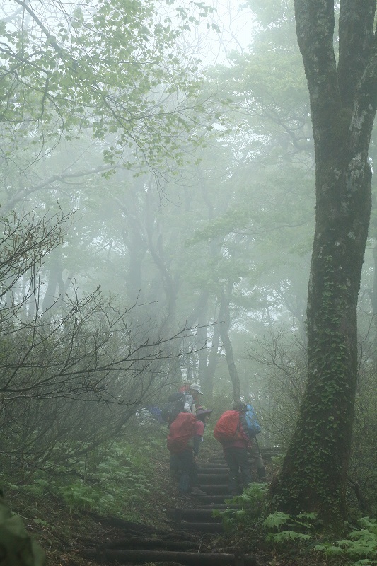 e0091879_00172328.jpg