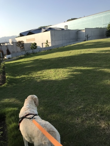 f0315081_21423008.jpeg