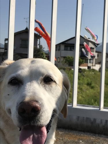 f0315081_21462805.jpeg