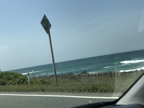 f0315081_21491723.jpeg