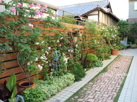 e0154682_21440171.jpg