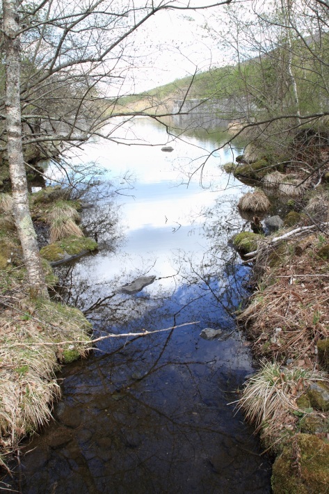 f0350585_12345342.jpg