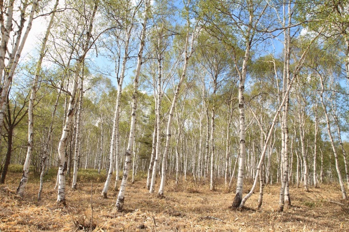 f0350585_12354737.jpg