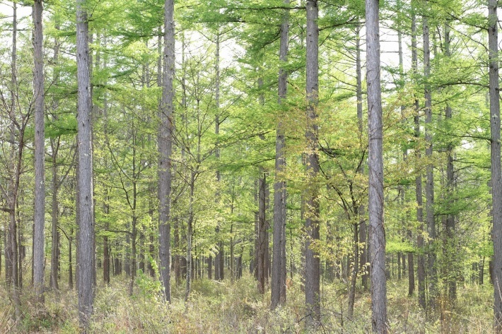 f0350585_12370959.jpg