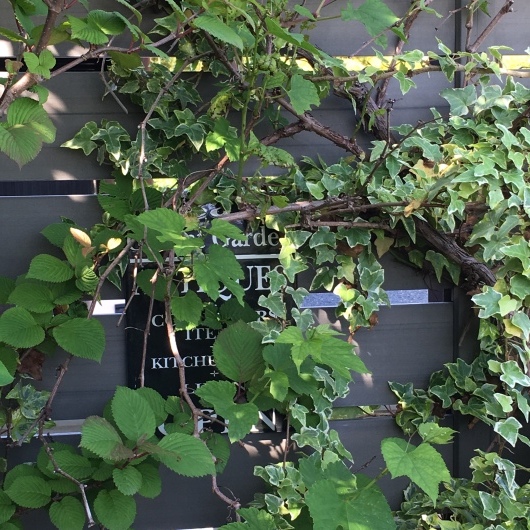 b0336787_22525840.jpeg