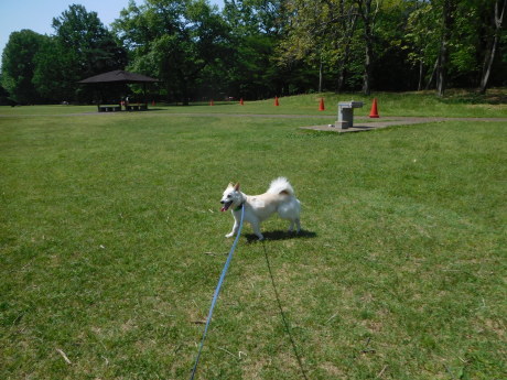 c0253487_02010483.jpg