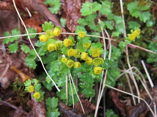 f0357487_00101811.jpg
