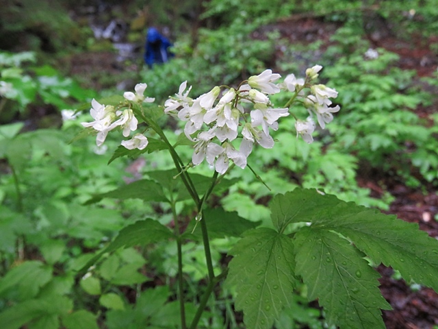 f0357487_00214959.jpg
