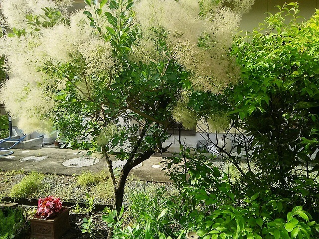 b0266191_10511619.jpg