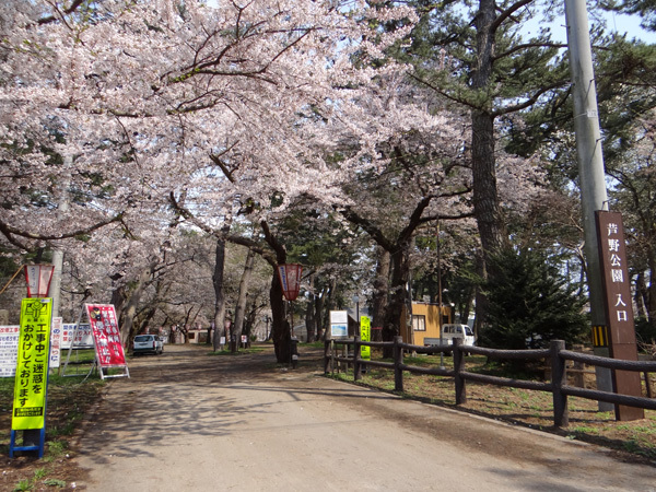 遅くなったけど(^^; 桜のトンネル弘前公園西堀ほかいろいろ^^_a0136293_19195758.jpg