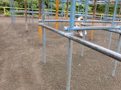 a0319693_7594518.jpg