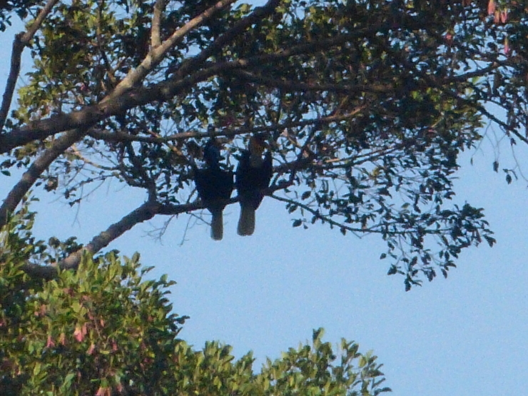 c0324393_20104302.jpg