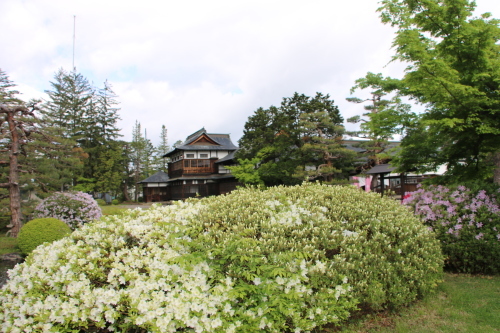 上杉記念館・上杉伯爵邸の躑躅・4　２０１８．５．10_c0075701_09320669.jpg