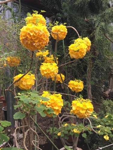 d0179410_20590686.jpeg