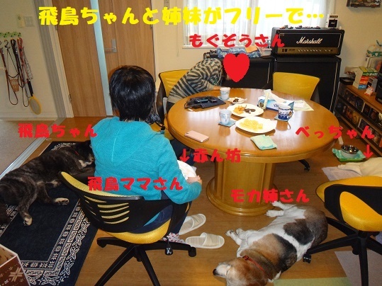 f0121712_00031686.jpg