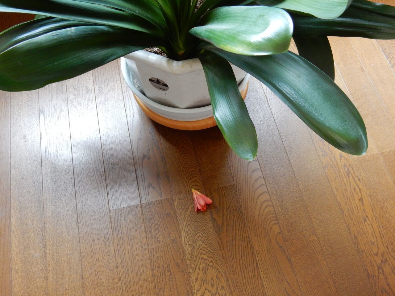 寒い_c0025115_22130434.jpg