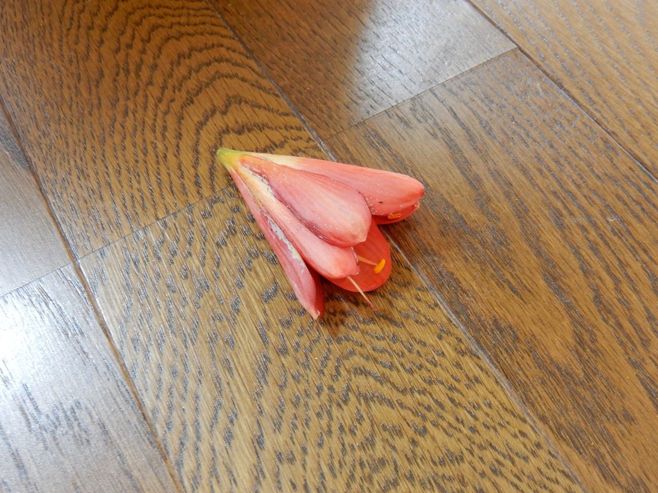 寒い_c0025115_22130724.jpg