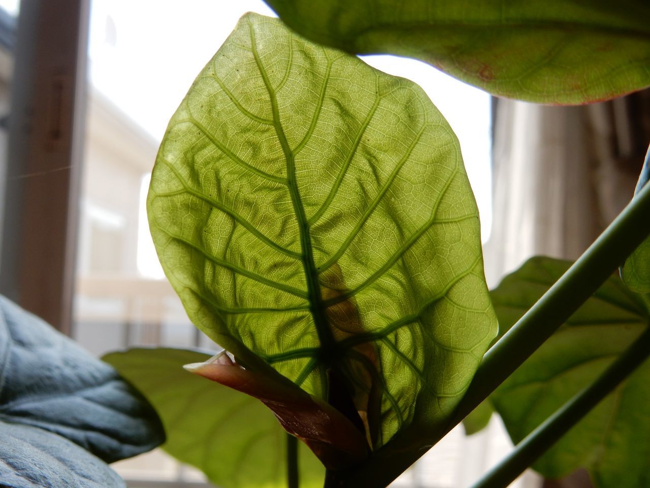 寒い_c0025115_22172141.jpg