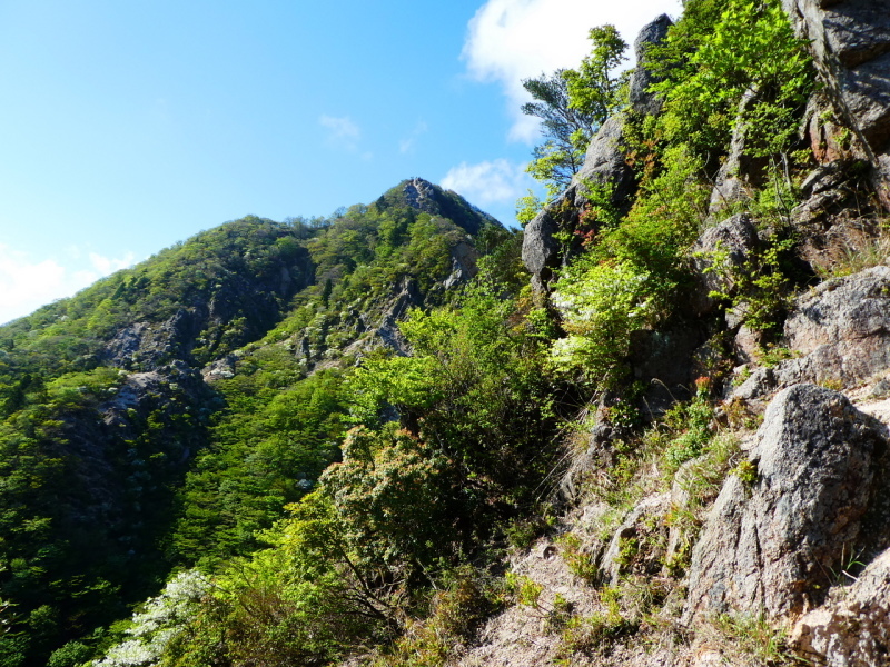 d0170615_19541134.jpg