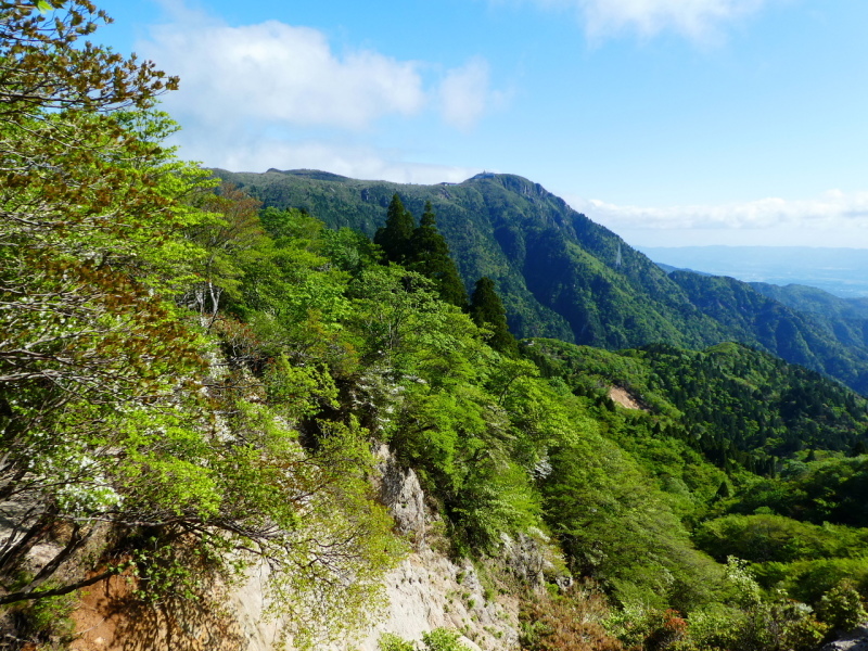 d0170615_19544421.jpg