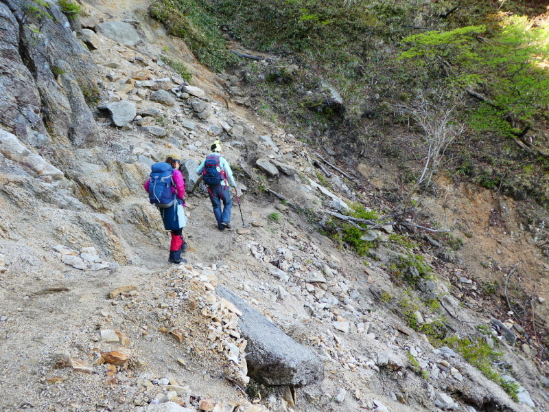 d0170615_19552681.jpg