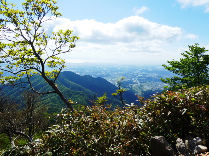 d0170615_19555940.jpg