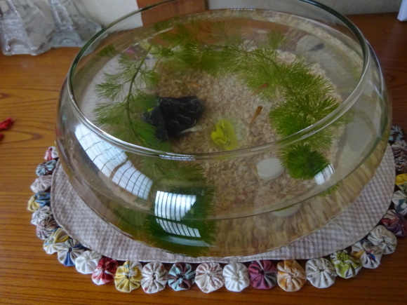 b0163121_21102131.jpeg