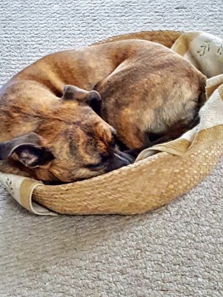 d0269832_07552355.jpeg