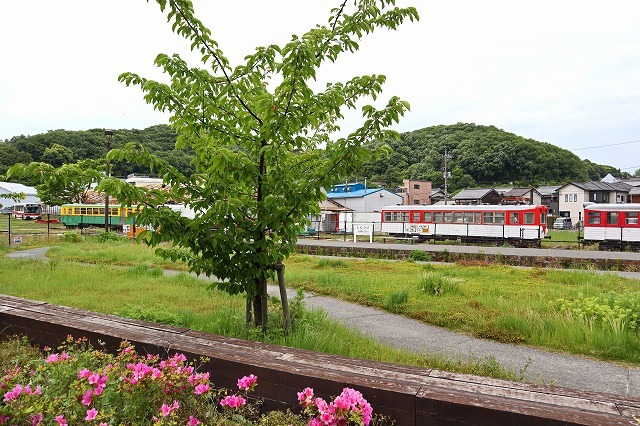 a0242438_20141945.jpg
