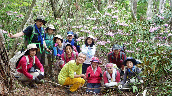 ☆花シリーズ“シャクナゲ 比良山 花折峠～堂満岳” と き：５月６日（日）_e0371039_8404430.gif