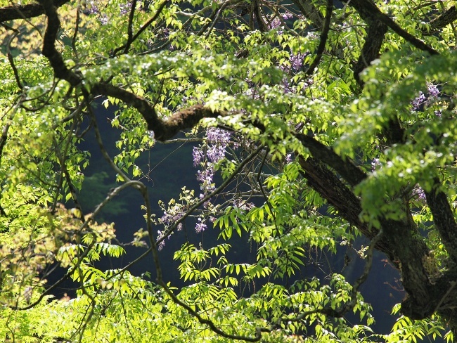 c0281841_14373039.jpg